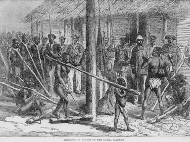 A drawing of men in the jungle with poles.